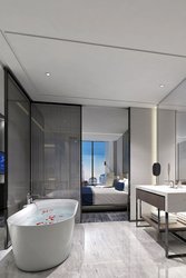  - St Regis Hotel Downtown Chicago