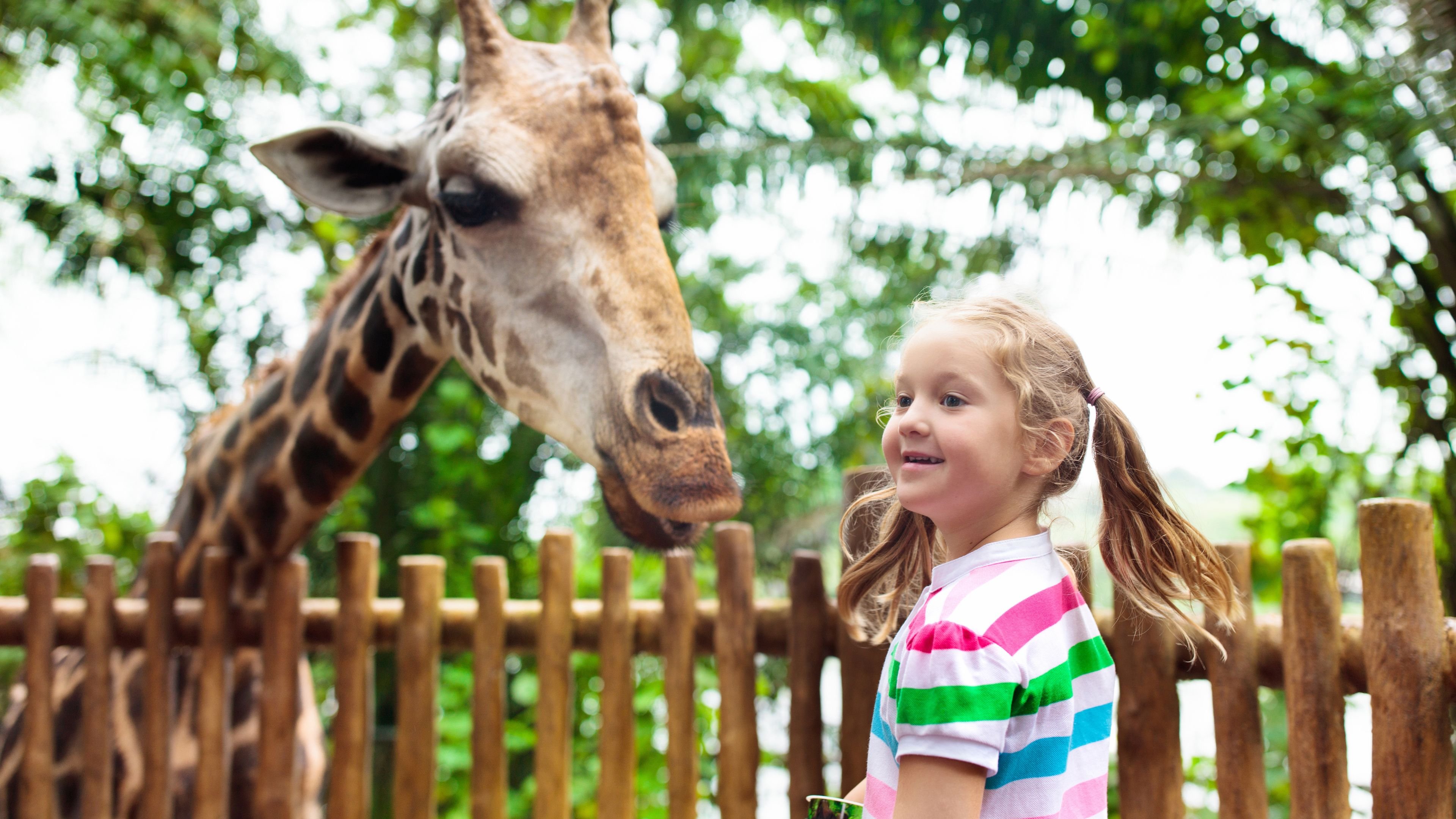 Discover why our zoo is one of the best in the world.