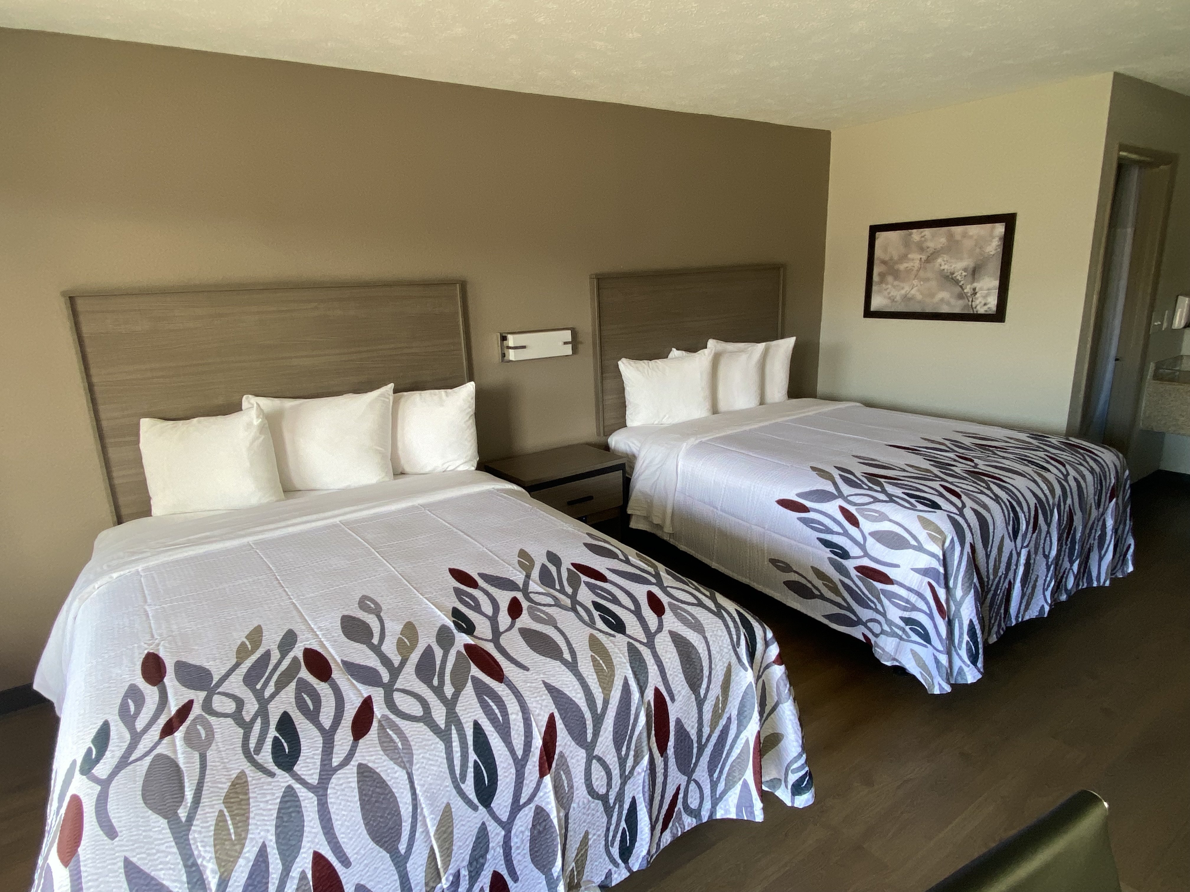 RED ROOF JACKSONVILLE, AL-guestroom-Deluxe Queen.jpg