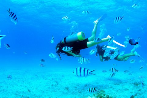 RENAISSANCE OKINAWA RESORT - Photo 99