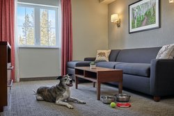  - Residence Inn by Marriott Breckenridge
