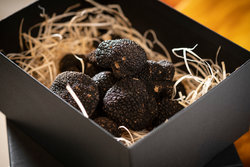  - Kimpton Epic Hotel Miami - I-95, Exit 2A & 2C