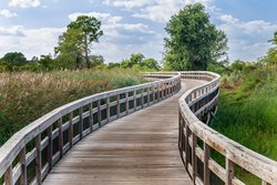  - Holiday Inn Express Grasonville