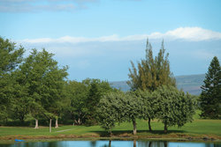  - Paniolo Greens Resort Condos Waikoloa Village