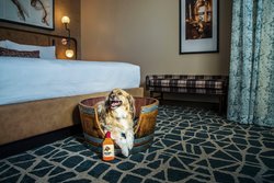  - Hotel Distil Louisville - I-64, Exits 4 & 5B