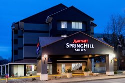  - SpringHill Suites by Marriott Rochester