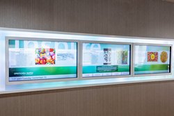  - SpringHill Suites by Marriott Rochester