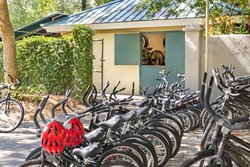  - Marriott Vacation Club Barony Beach Hilton Head