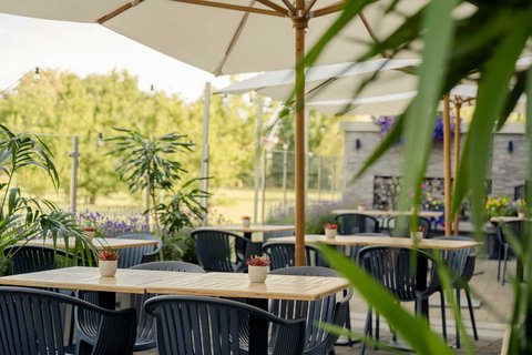 Outdoor Area
