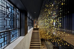  - W Hotel Downtown Philadelphia