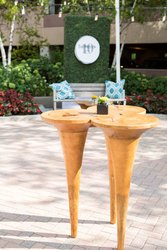  - Westin Hotel Edina