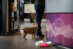  - Aloft Hotel University Tucson