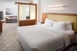  - SpringHill Suites by Marriott Savannah Historic District - I-16, Exit 167