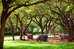  - Renaissance Austin Hotel