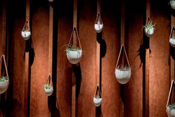  - Westin Hotel Nashville - I-40 & I-65, Exit 209