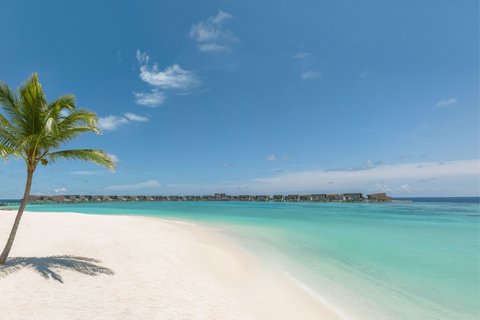 THE ST REGIS MALDIVES VOMMULI - Photo 12