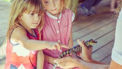  - Holiday Inn Express National City - I-805, Exit 10