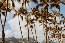  - Banyan Harbor Resort Lihue