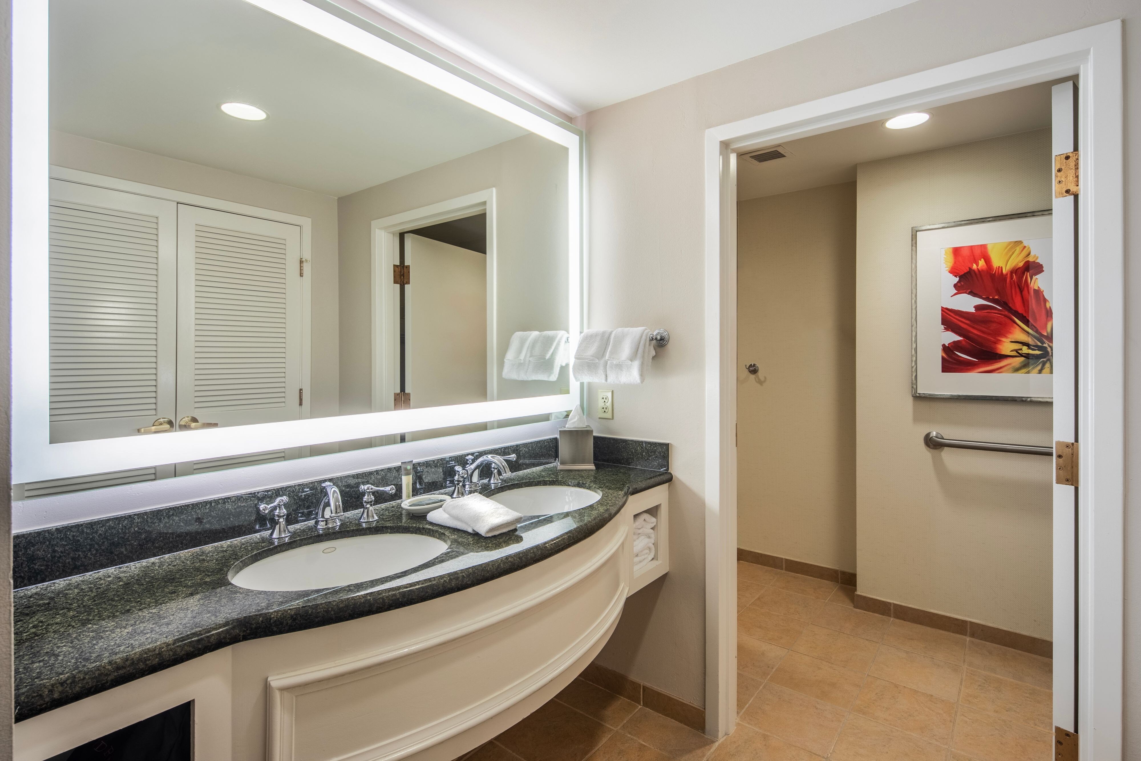 Accessible Room Bathroom