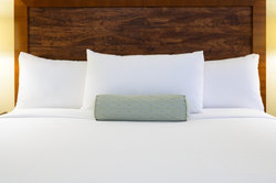  - Airtel Plaza Hotel & Conference Center Van Nuys - I-405, Exit 66