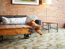  - Hotel on North Pittsfield