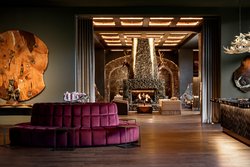  - Grand Bohemian Lodge Downtown Greenville