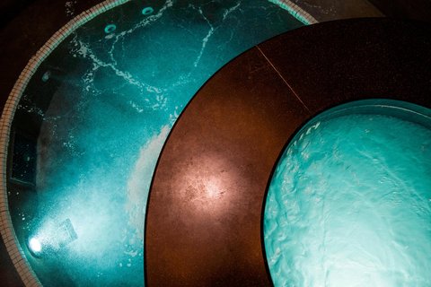 THE ST REGIS ASPEN RESORT - Photo 69