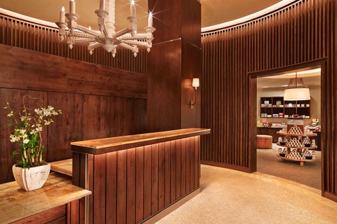 THE ST REGIS ASPEN RESORT - Photo 71