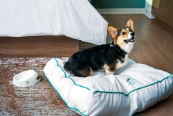  - Element Hotel Reno Experience District - I-580, Exit 30