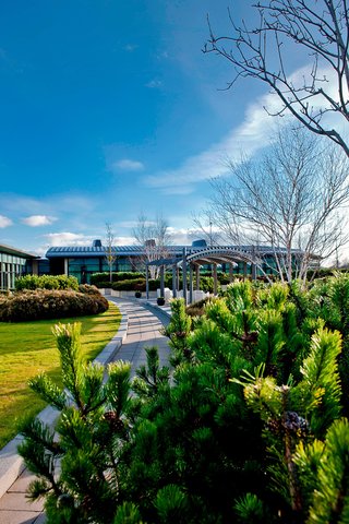 THE GLASSHOUSE - Photo 5