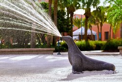  - Walt Disney World Swan Reserve Hotel Lake Buena Vista