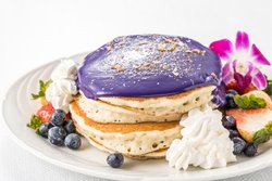  - Sheraton Princess Kaiulani Hotel Waikiki Honolulu