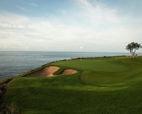 FOUR SEASONS RESORT LANAI - Photo 10