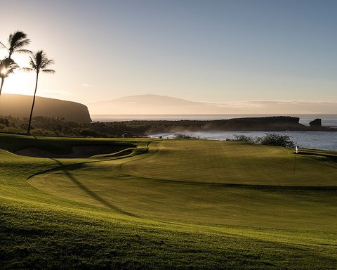 FOUR SEASONS RESORT LANAI - Photo 11