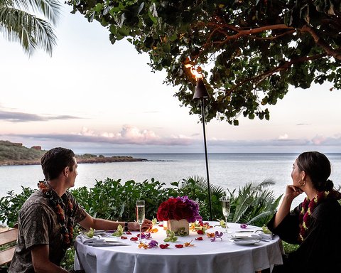 FOUR SEASONS RESORT LANAI - Photo 17