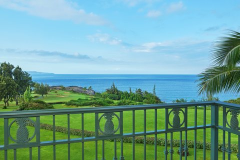 THE RITZ-CARLTON KAPALUA - Photo 56