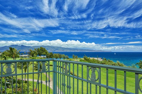 THE RITZ-CARLTON KAPALUA - Photo 55