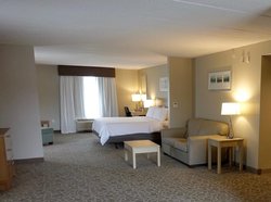  - Holiday Inn Express & Suites Downtown Toronto Area