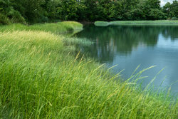  - Holiday Inn Chelsea