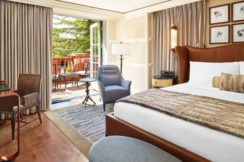 THE ST REGIS ASPEN RESORT - Photo 17