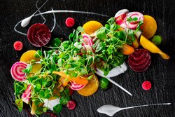  - Westin Hotel Montreal