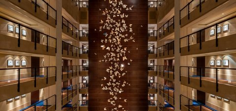 Butterfly Wall