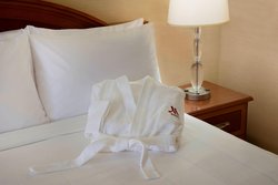  - Marriott Hotel Toronto Airport Etobicoke