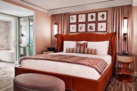 THE ST REGIS ASPEN RESORT - Photo 26