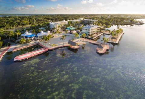 Marina Drone Shot
