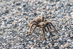  - Holiday Inn Express La Junta