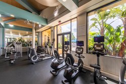  - Marriott Vacation Club Royal Palms Resort Orlando - I-4, Exit 67