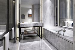  - St Regis Hotel Downtown Chicago