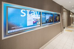  - SpringHill Suites by Marriott Airport Denver