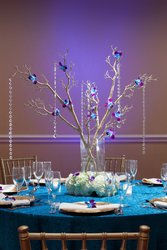  - Marriott Hotel Airport South Miami